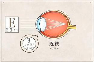 raybet网页导航